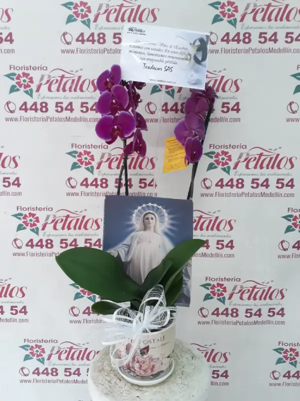 Flores Floristería Rionegro 032
